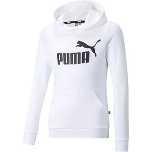 Puma Essential Logo Hoodie
