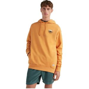 O´neill Camorro Hoodie