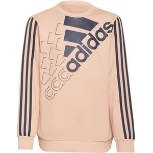 Adidas Logo Sweatshirt Oranje 4-5 Years