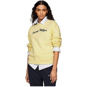 Tommy Hilfiger Mdrn Regular Script Sweatshirt