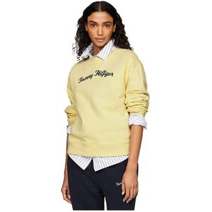 Tommy Hilfiger Mdrn Regular Script Sweatshirt