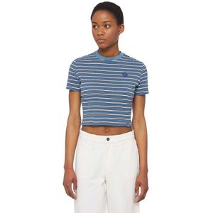Dickies Altoona Stripe Short Sleeve T-shirt Blauw S Vrouw