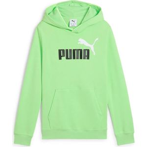 Puma Ess 2 Color Nº1 Logo Hoodie