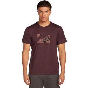 Icebreaker - Merino 150 Tech Lite S/S Tee In The Wild - Merinoshirt - Bruin