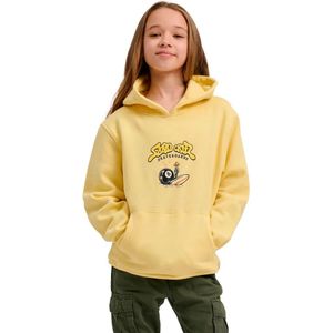 Santa Cruz Winkowski 8baller Hoodie