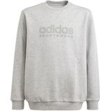 adidas - All Szn Graphic - Sweatshirt - Zacht Fleece