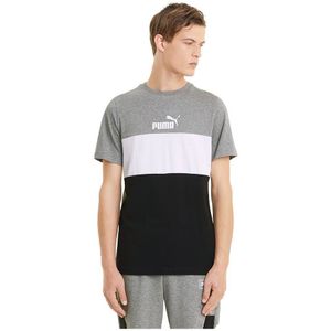Puma Essential+colorblock Short Sleeve T-shirt Grijs M Man