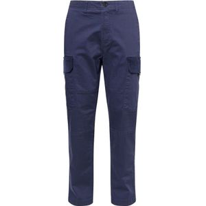Oakley Apparel Roam Commuter Cargo Pants Blauw 36 Man