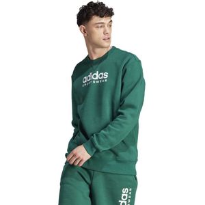 Adidas All Szn Fleece Graphic Sweatshirt Groen L / Short Man