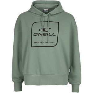 O´neill Cube Hoodie