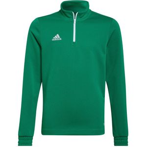 Adidas Entrada 22 Training Sweatshirt Groen 11-12 Years