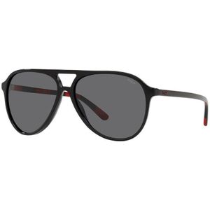 Ralph Lauren Ph4173-500187 Sunglasses Zwart Black Man