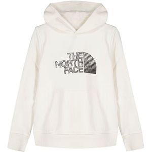 The North Face Biner Graphic Hoodie Wit XS Jongen