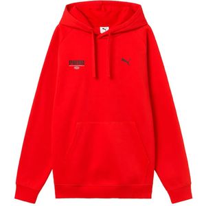 Puma Graphic Hoodie