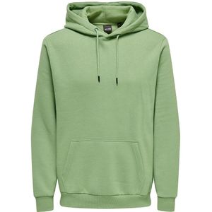 Only & Sons Ceres Life Hoodie Groen XL Man