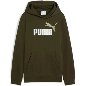 Puma Ess 2 Color Nº1 Logo Hoodie