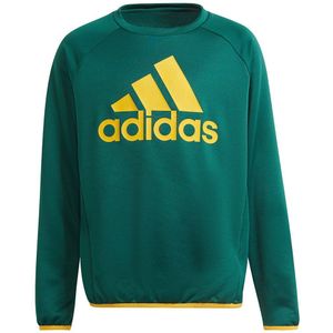 Adidas Bl Sweatshirt Groen 5-6 Years