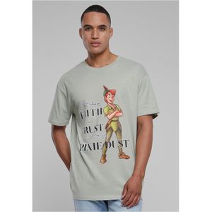 Mister Tee Disney 100 Peter Pan Faith And Trust Oversize Short Sleeve T-shirt Grijs XS Man