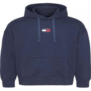 Tommy Jeans Dm0dm10904 Hoodie