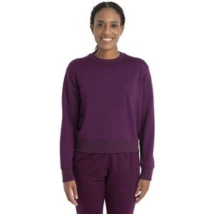 Icebreaker Crush Ii Merino Sweatshirt