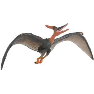 Collecta Pteranodon Deluxe 1:40 Figure Veelkleurig 3-6 Years