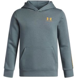 Under Armour Icon Fleece Taping Hoodie