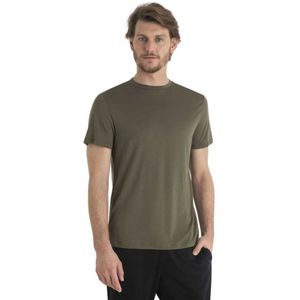 Icebreaker Merino Core T-shirt Met Korte Mouwen