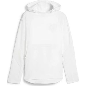 Puma Evostripe Dk Hoodie