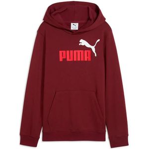 Puma Ess 2 Color Nº1 Logo Hoodie