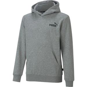 Puma Ess Small Logo Hoodie