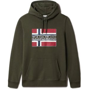 Napapijri Bench H Hoodie