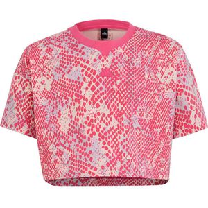 Adidas Fi Aop Short Sleeve T-shirt Roze 14-15 Years Meisje
