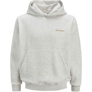 Jack & Jones Islington Back Hoodie