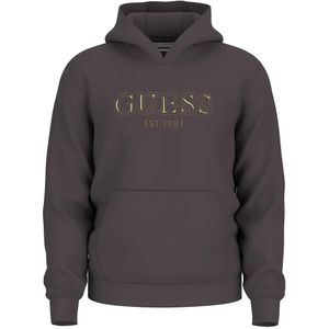 Guess - Basic Hoodie - Grijs - Sweatshirt