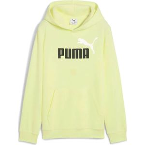 Puma Ess 2 Color Nº1 Logo Hoodie