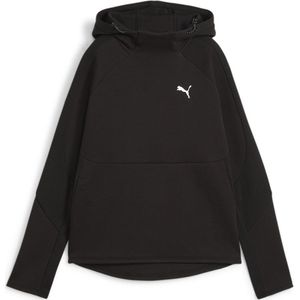 Puma Evostripe Hoodie