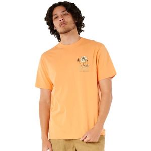 Rip Curl Aots Cody Welsh Palms T-shirt Met Korte Mouwen