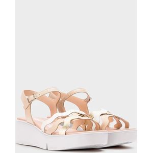 Wonders Andy Sandalen