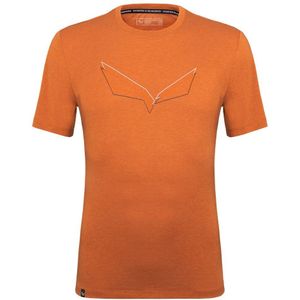 Salewa Pure Eagle Frame Dry T-shirt Met Korte Mouwen