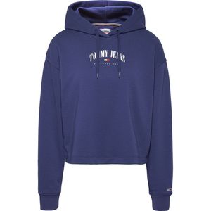 Tommy Jeans Relax Essential Logo 2 Hoodie Blauw XS Vrouw
