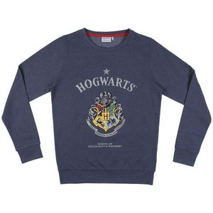 Cerda Group Harry Potter Sweatshirt Blauw XS Man