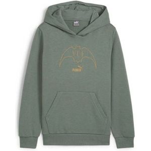 Puma Valencia Cf Culture Junior Hoodie