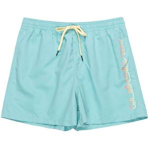 Quiksilver Behind Wave Swimming Shorts Blauw S Man