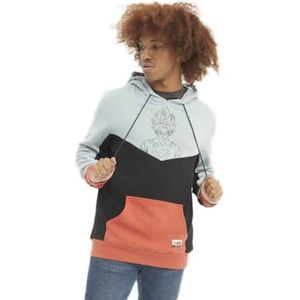 Hydroponic Dragon Ball Z Goku Saiyan Hoodie