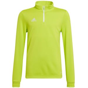 Adidas Entrada 22 Training Sweatshirt