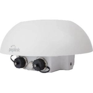 Peplink Dome Pro Duo-router
