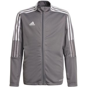 Adidas Tiro 21 Track Jacket Grijs 9-10 Years