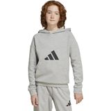 Adidas - Future Icons Logo - Hoodie - Grijs - Junioren