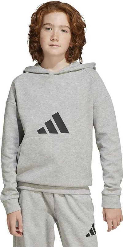 Adidas - Future Icons Logo - Hoodie - Grijs - Junioren