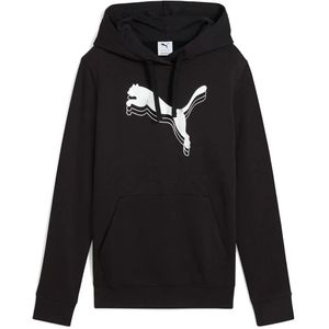 Puma Select Ess Metallic Regular Fit Hoodie